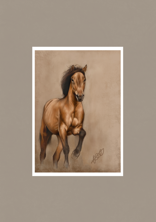 “Mustang”