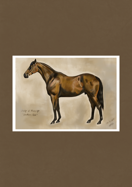 “Study Of Southern Hero”
