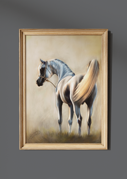 “Arabian”