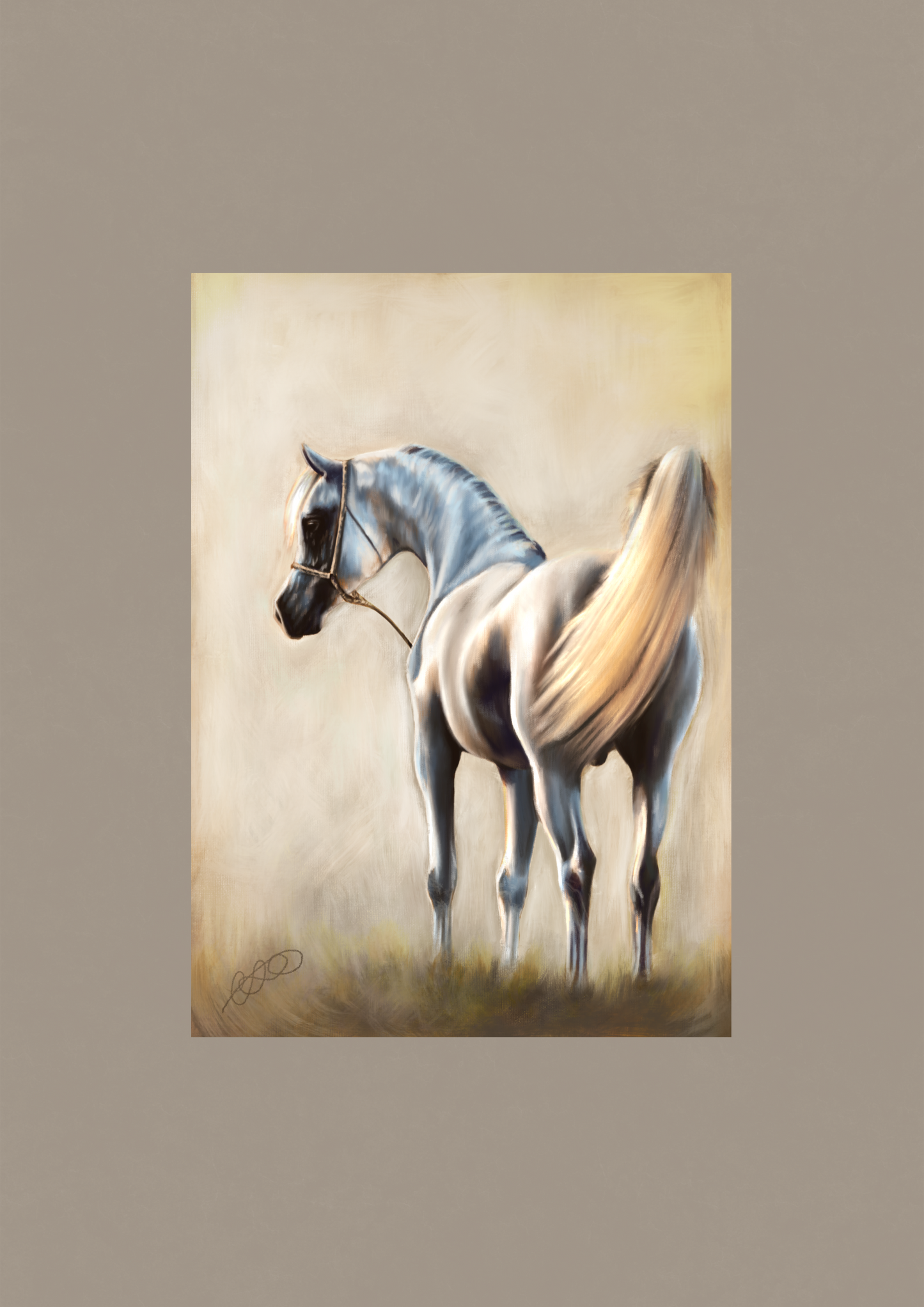 “Arabian”