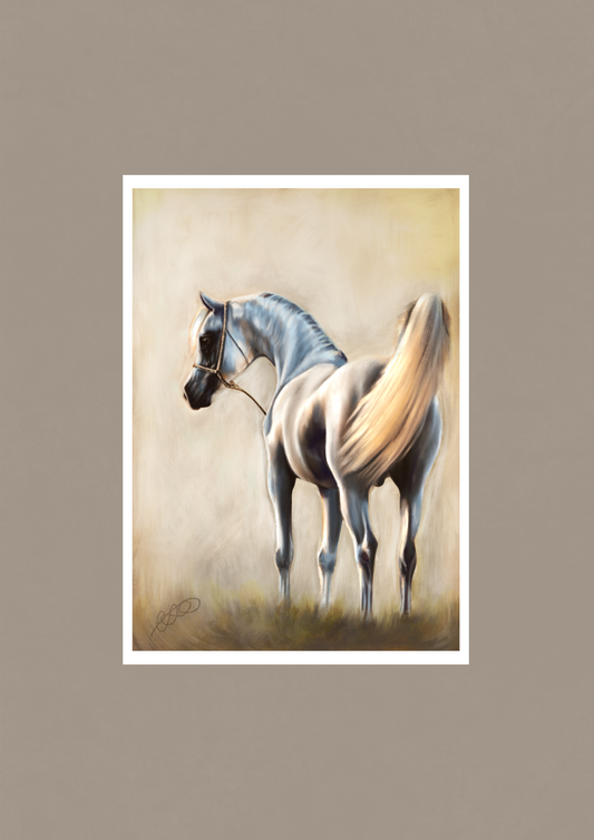 “Arabian”