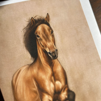 “Mustang”