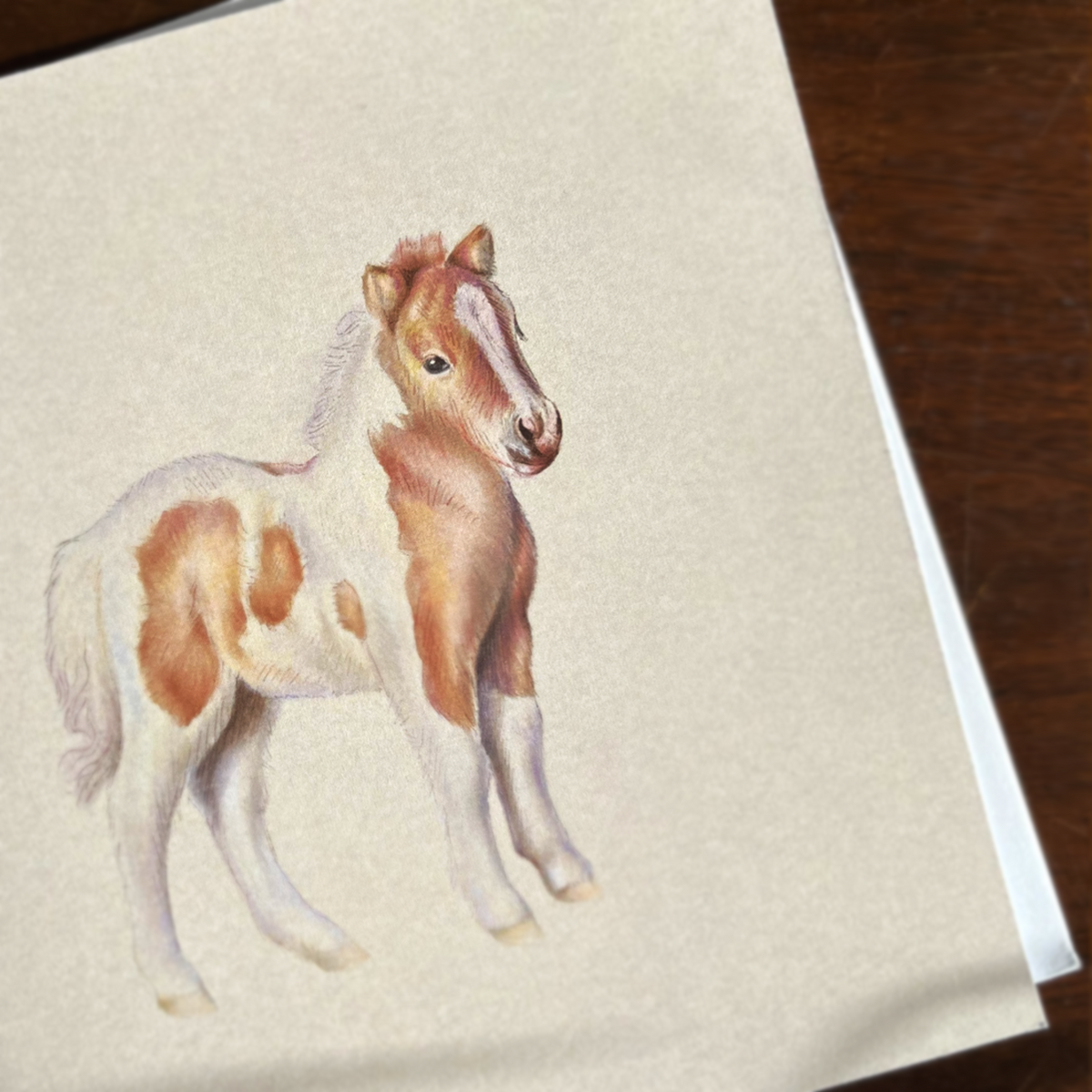 “Shetland Foal”