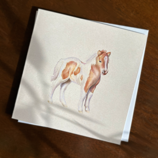 “Shetland Foal”